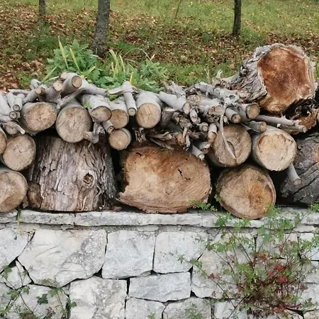 Trullo Dei Nonni 度假居 *