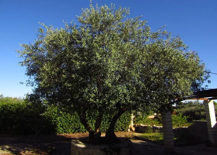 Trullo Dei Nonni *